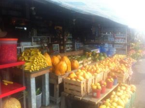 fruit stand in one of ecuador's local markets