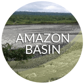 Amazon Basin